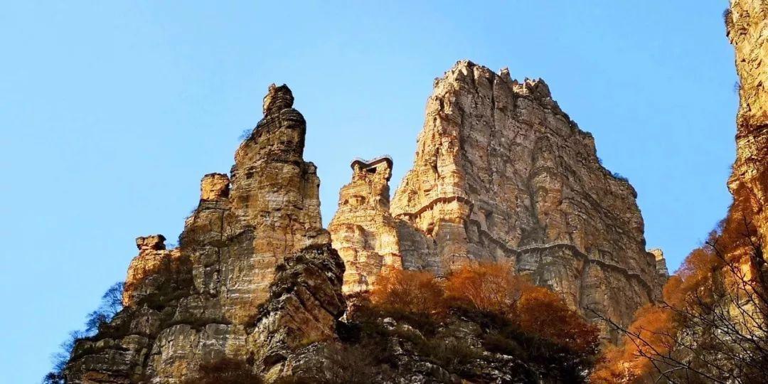 世卫组织:人工智能在医疗领域应用前景广阔